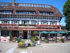 Hirschen in St. Peter im Schwarzwald